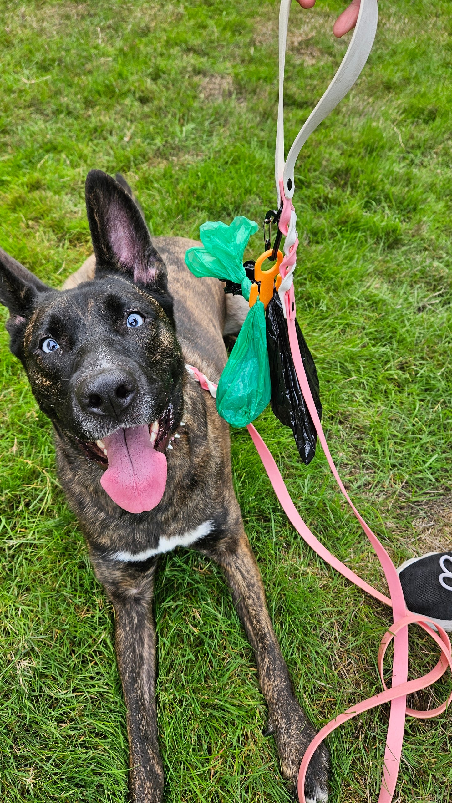A double sided dog poop bag holder hook for responsible dog parents.